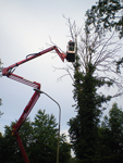 hoogwerker_tuinonderhoud_2_thumb